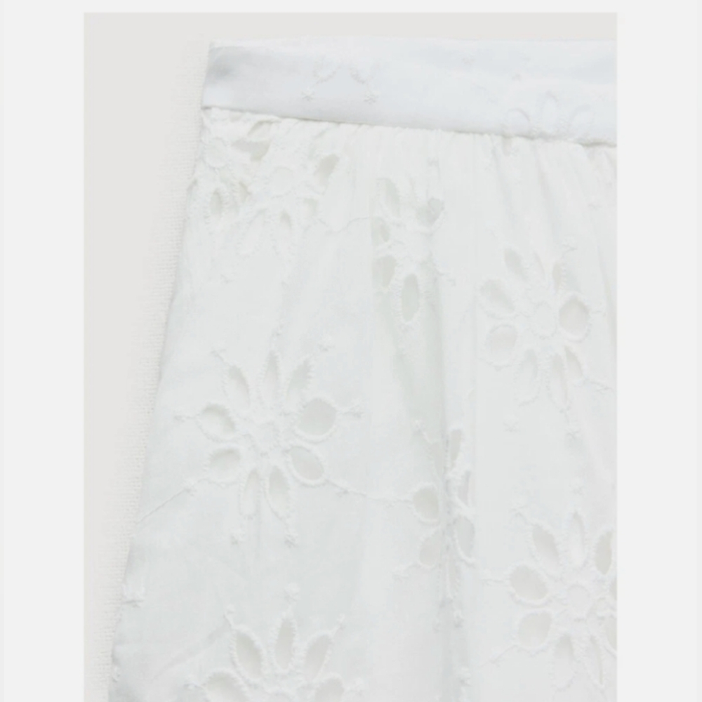Zara Embroidered 100% Cotton Midi Skirt - Picture 4 of 6